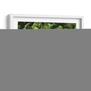 Canopy Road V - James McLoughlin | Cuadro decorativo de Canvas Lab