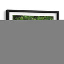 Canopy Road Vi - James McLoughlin | Cuadro decorativo de Canvas Lab