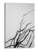 Buscando Sucursales I - Renee W. Stramel | Cuadro decorativo de Canvas Lab