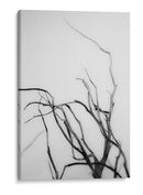 Búsqueda De Sucursales Ii - Renee W. Stramel | Cuadro decorativo de Canvas Lab