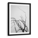 Búsqueda De Sucursales Ii - Renee W. Stramel | Cuadro decorativo de Canvas Lab