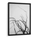 Búsqueda De Sucursales Ii - Renee W. Stramel | Cuadro decorativo de Canvas Lab