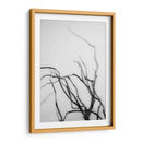 Búsqueda De Sucursales Ii - Renee W. Stramel | Cuadro decorativo de Canvas Lab