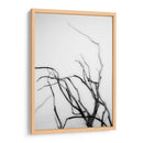 Búsqueda De Sucursales Ii - Renee W. Stramel | Cuadro decorativo de Canvas Lab