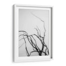 Búsqueda De Sucursales Ii - Renee W. Stramel | Cuadro decorativo de Canvas Lab