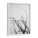 Búsqueda De Sucursales Ii - Renee W. Stramel | Cuadro decorativo de Canvas Lab