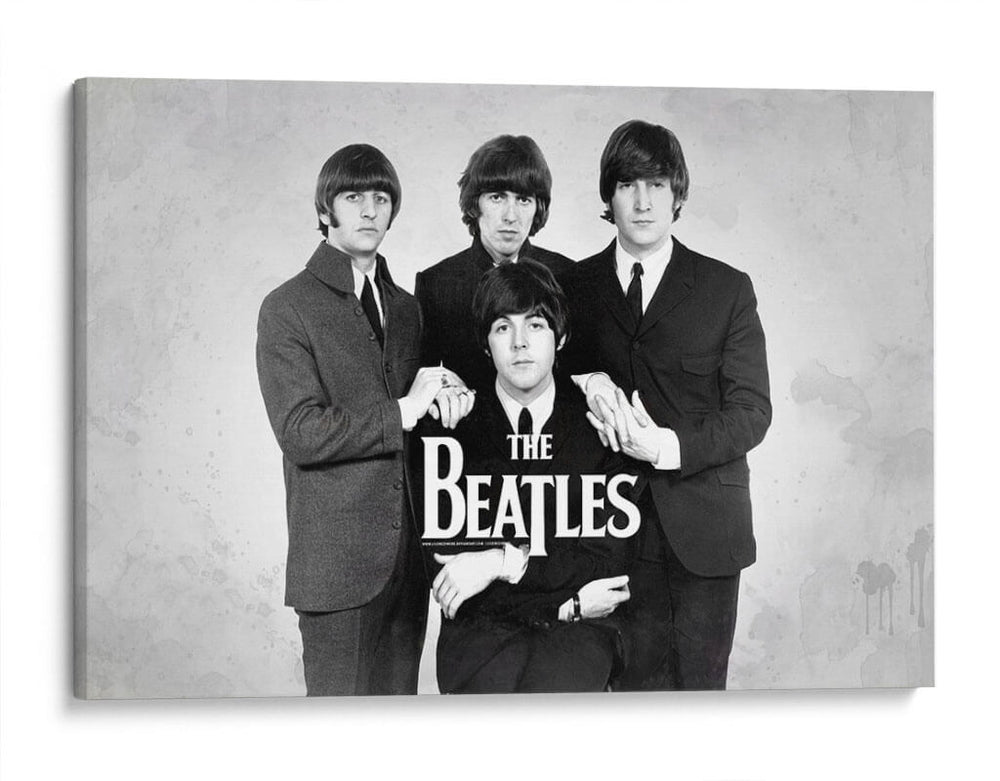 Seriedad | Cuadro decorativo de Canvas Lab