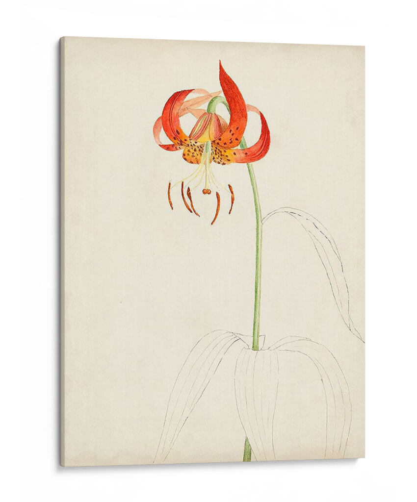 Acuarela Bocetos Botánicos I | Cuadro decorativo de Canvas Lab