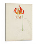 Acuarela Bocetos Botánicos I | Cuadro decorativo de Canvas Lab