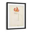 Acuarela Bocetos Botánicos I | Cuadro decorativo de Canvas Lab