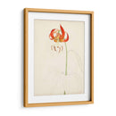 Acuarela Bocetos Botánicos I | Cuadro decorativo de Canvas Lab