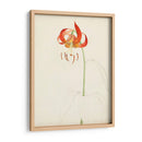 Acuarela Bocetos Botánicos I | Cuadro decorativo de Canvas Lab