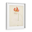 Acuarela Bocetos Botánicos I | Cuadro decorativo de Canvas Lab