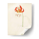 Acuarela Bocetos Botánicos I | Cuadro decorativo de Canvas Lab