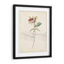 Bocetos Botánicos De Acuarela Ii | Cuadro decorativo de Canvas Lab