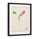 Bocetos Botánicos De Acuarela Iv | Cuadro decorativo de Canvas Lab