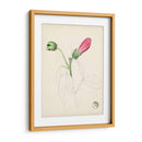 Bocetos Botánicos De Acuarela Iv | Cuadro decorativo de Canvas Lab