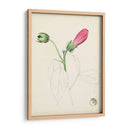 Bocetos Botánicos De Acuarela Iv | Cuadro decorativo de Canvas Lab