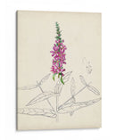 Acuarela Bocetos Botánicos V | Cuadro decorativo de Canvas Lab