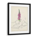 Acuarela Bocetos Botánicos V | Cuadro decorativo de Canvas Lab