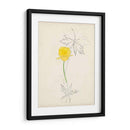 Acuarela Bocetos Botánicos Vii | Cuadro decorativo de Canvas Lab