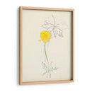 Acuarela Bocetos Botánicos Vii | Cuadro decorativo de Canvas Lab