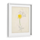 Acuarela Bocetos Botánicos Vii | Cuadro decorativo de Canvas Lab