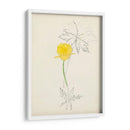 Acuarela Bocetos Botánicos Vii | Cuadro decorativo de Canvas Lab