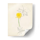 Acuarela Bocetos Botánicos Vii | Cuadro decorativo de Canvas Lab