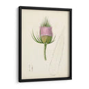 Bocetos Botánicos De Acuarela Viii | Cuadro decorativo de Canvas Lab