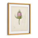 Bocetos Botánicos De Acuarela Viii | Cuadro decorativo de Canvas Lab