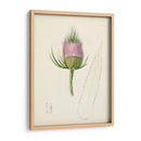 Bocetos Botánicos De Acuarela Viii | Cuadro decorativo de Canvas Lab