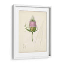 Bocetos Botánicos De Acuarela Viii | Cuadro decorativo de Canvas Lab