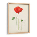 Bocetos Botánicos De Acuarela Ix | Cuadro decorativo de Canvas Lab