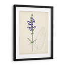 Bocetos Botánicos De Acuarela X | Cuadro decorativo de Canvas Lab