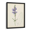 Bocetos Botánicos De Acuarela X | Cuadro decorativo de Canvas Lab
