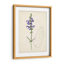 Bocetos Botánicos De Acuarela X | Cuadro decorativo de Canvas Lab