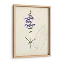 Bocetos Botánicos De Acuarela X | Cuadro decorativo de Canvas Lab