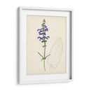 Bocetos Botánicos De Acuarela X | Cuadro decorativo de Canvas Lab