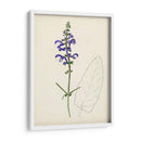Bocetos Botánicos De Acuarela X | Cuadro decorativo de Canvas Lab