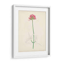 Bocetos Botánicos De Acuarela Xi | Cuadro decorativo de Canvas Lab