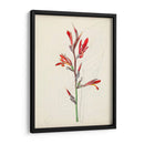 Bocetos Botánicos De Acuarela Xii | Cuadro decorativo de Canvas Lab