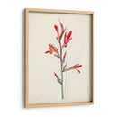 Bocetos Botánicos De Acuarela Xii | Cuadro decorativo de Canvas Lab