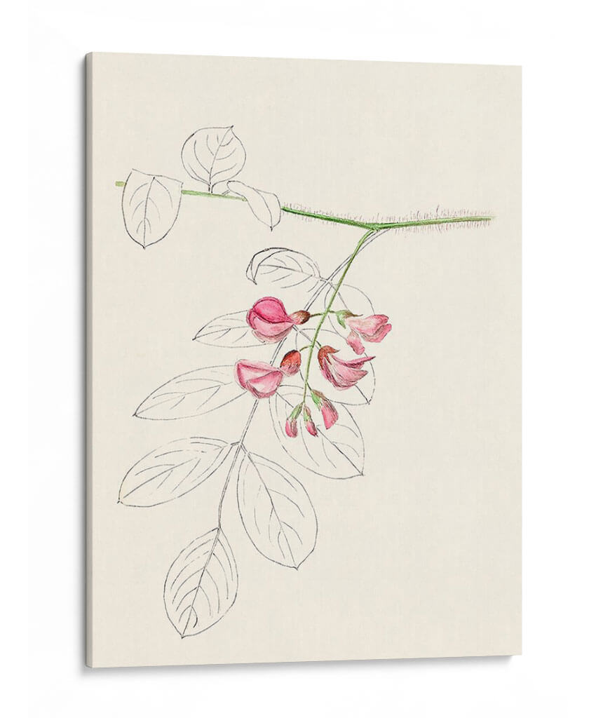 Bocetos De La Hoja De Acuarela I | Cuadro decorativo de Canvas Lab