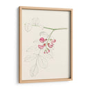 Bocetos De La Hoja De Acuarela I | Cuadro decorativo de Canvas Lab