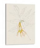 Bocetos De La Hoja De Acuarela Iii | Cuadro decorativo de Canvas Lab