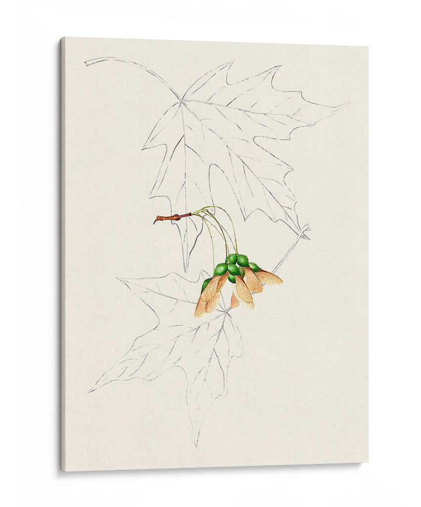 Bocetos De La Hoja De Acuarela Iv | Cuadro decorativo de Canvas Lab