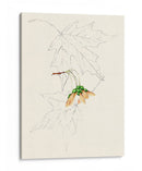 Bocetos De La Hoja De Acuarela Iv | Cuadro decorativo de Canvas Lab