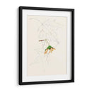 Bocetos De La Hoja De Acuarela Iv | Cuadro decorativo de Canvas Lab
