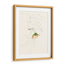 Bocetos De La Hoja De Acuarela Iv | Cuadro decorativo de Canvas Lab